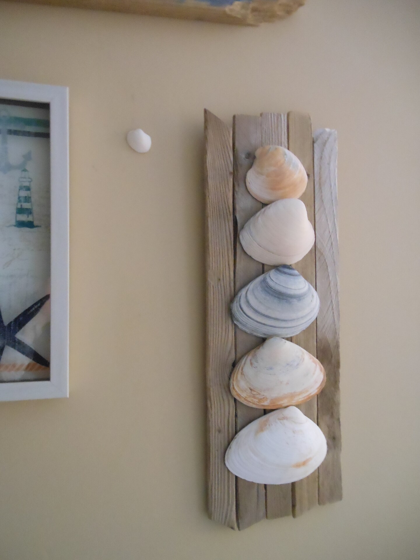 Infinite Seashell Wall Sculpture, Hamptons Beach Art