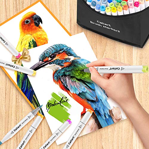 Caliart 51 Colors Alcohol Brush Markers, Dual Tip (Brush & Chisel) Art  Markers Permanent Sketch Markers for Adults Kids Coloring Artist Sketching  Illustration Drawing Calligraphy, Bonus 1 Blender