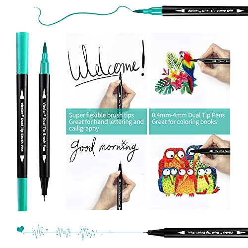 Dual Tip Brush Markers Colored Pen,Fine Point Journal Pens & Colored Brush Markers for Kid Adult Coloring Drawing Planner Calendar Art Projects(34 Colors Pen)