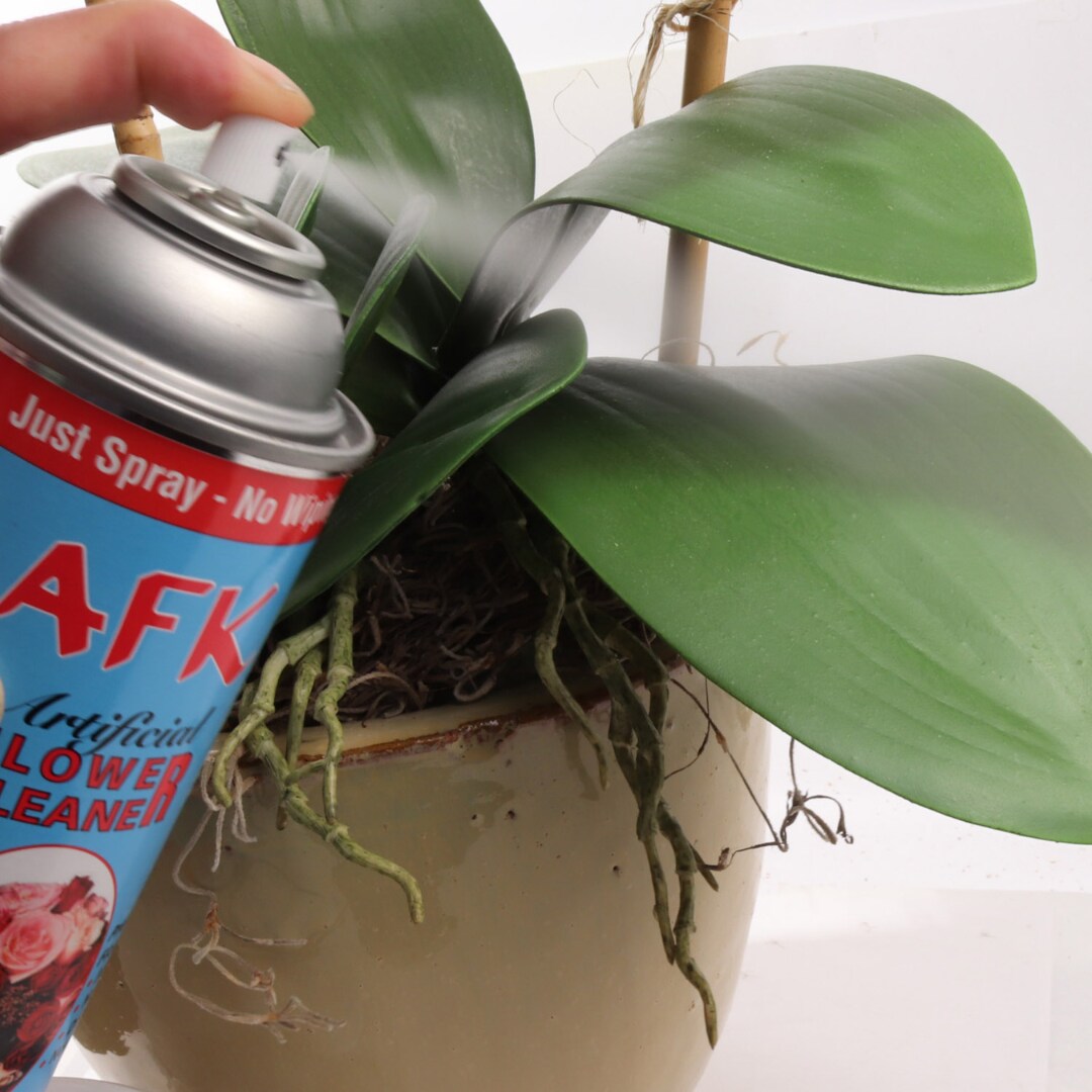  Silk Flowers and Plants Aerosol Cleaner Spray - Artificial  Flower and Plant Treatment for Cleaning, Shining and a Finishing Touch, No  Wiping Needed : Health & Household