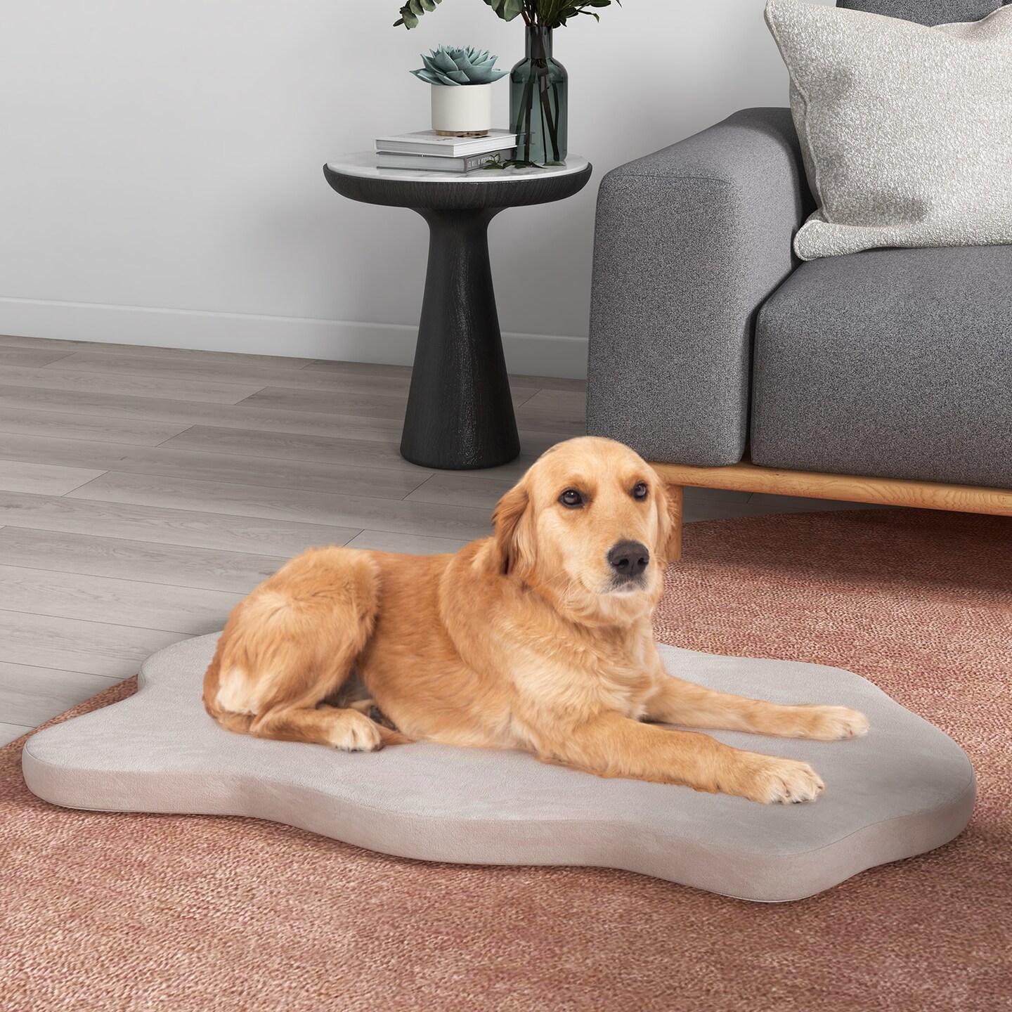 43"x26" Orthopedic Dog Bed with Memory Foam Waterproof Cover and Anti-Slip Bottom for Medium Dogs