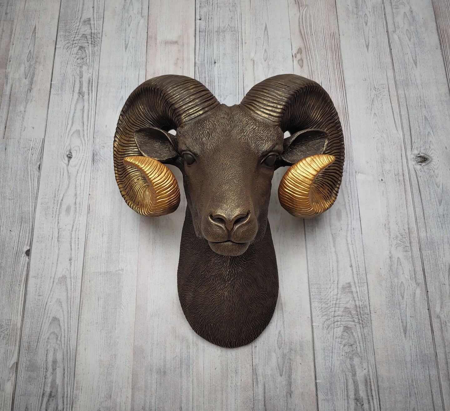 Faux Taxidermy Ram Head, Ram Head Wall Mount, Big Horn Sheep