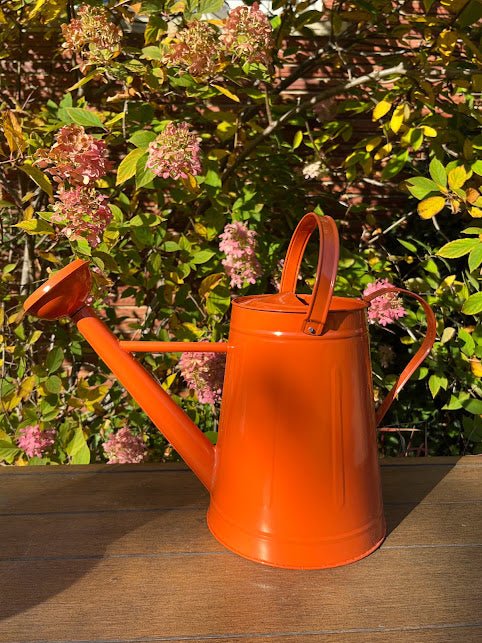 Large Watering Can - FUN COLORS | Michaels