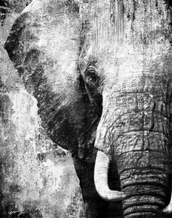 AFRICAN ANIMALS I - grey Poster Print by Eric Yang - Item # VARPDXEY27094