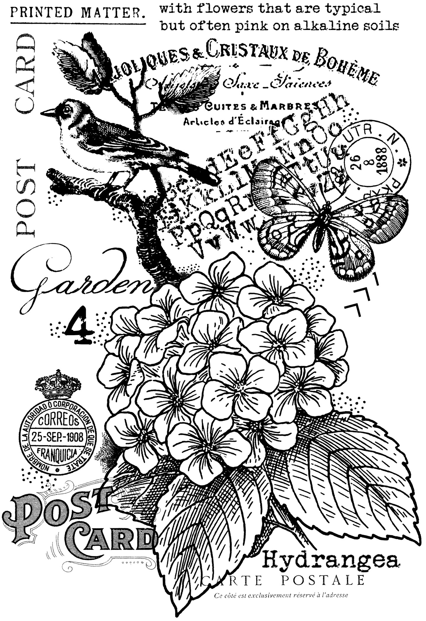 Woodware Craft Collection Woodware Clear Singles Hydrangea 4 in x 6 in Stamp