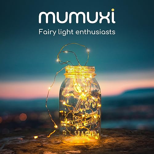 16 Pack Led Fairy Lights Battery Operated Lights Mason Jars Centerpiece Wedding Decor String Lights Battery Powered Lights, Christmas, Copper Wire Small Battery Fairy Lights (10ft Warm White)