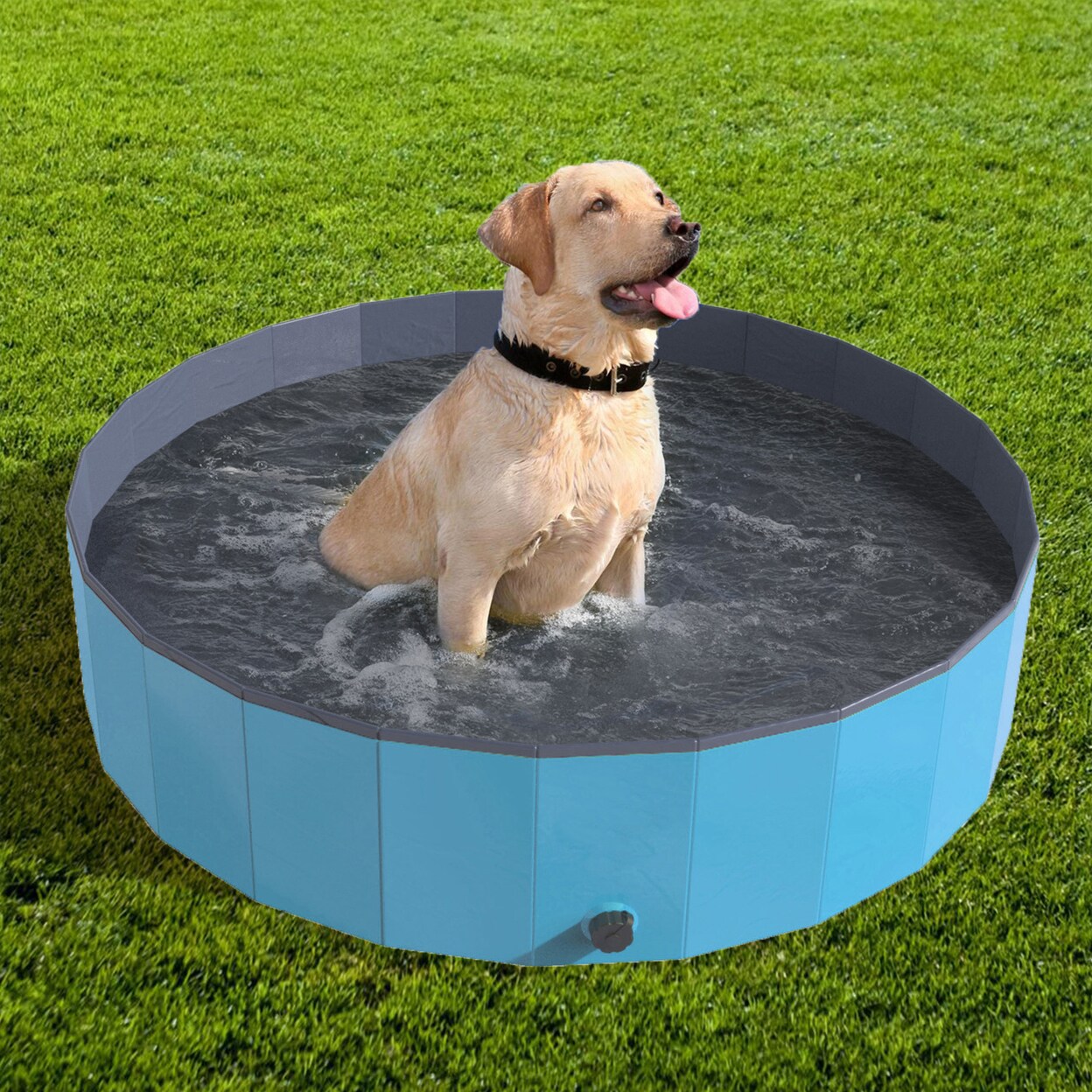 Portable Foldable Dog Pool 47 Inch Spa Blue Pvc Collapsible For Medium Large Dogs