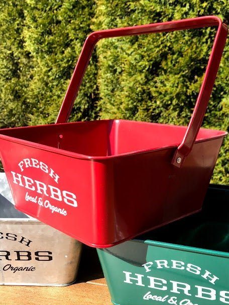 Local &#x26; Organic HERBS Square Metal Planter