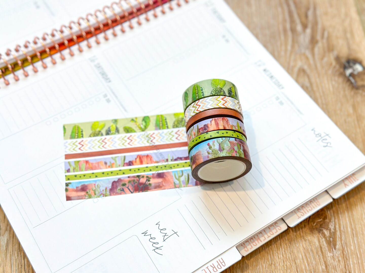 Desert Cactus Green &#x26; Brown Spring Washi Tape Set March 2024 - W104