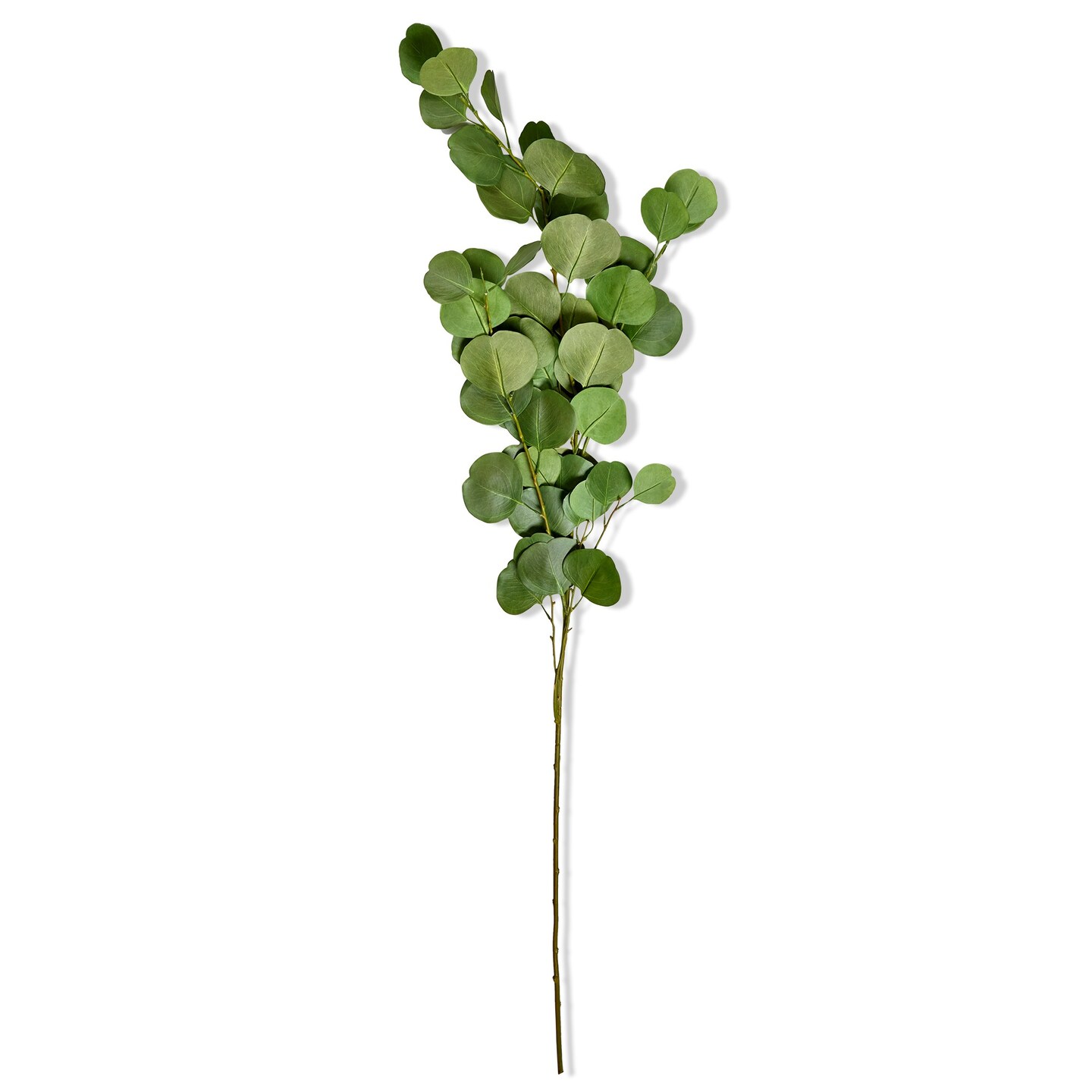 Eucalyptus Coin Artificial Leaf Stem 54H inches