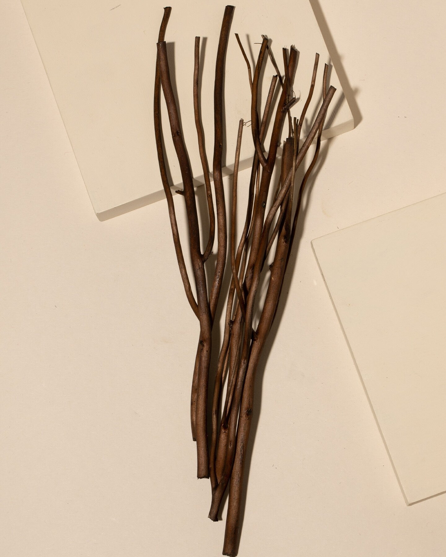 Umber Willow Diffuser Reeds, Set of 50 | Diffuser Supplies