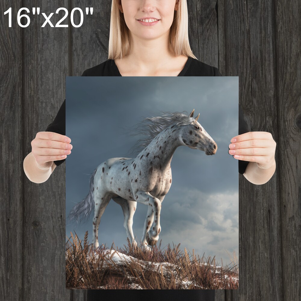 Wild Appaloosa in Winter - Print - Horse Themed Art product 7