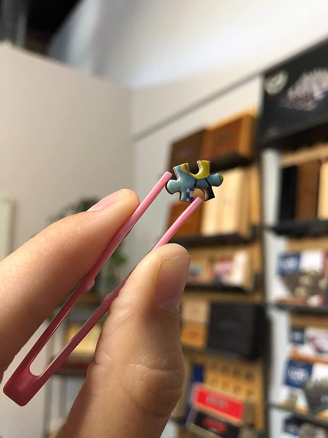 World&#x27;s Smallest Jigsaw Puzzle