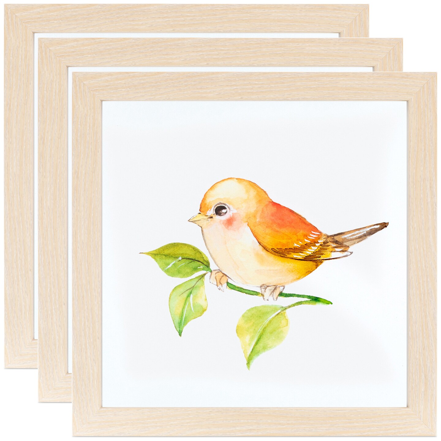 ArtToFrames 12x16 Inch Modern Picture Frame, Multi Pack, Comes with Regular Glass (WOMPack-46-12x16)