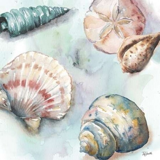 Posterazzi Watercolor Shell Toss I Poster Print by  Tre Sorelle Studios