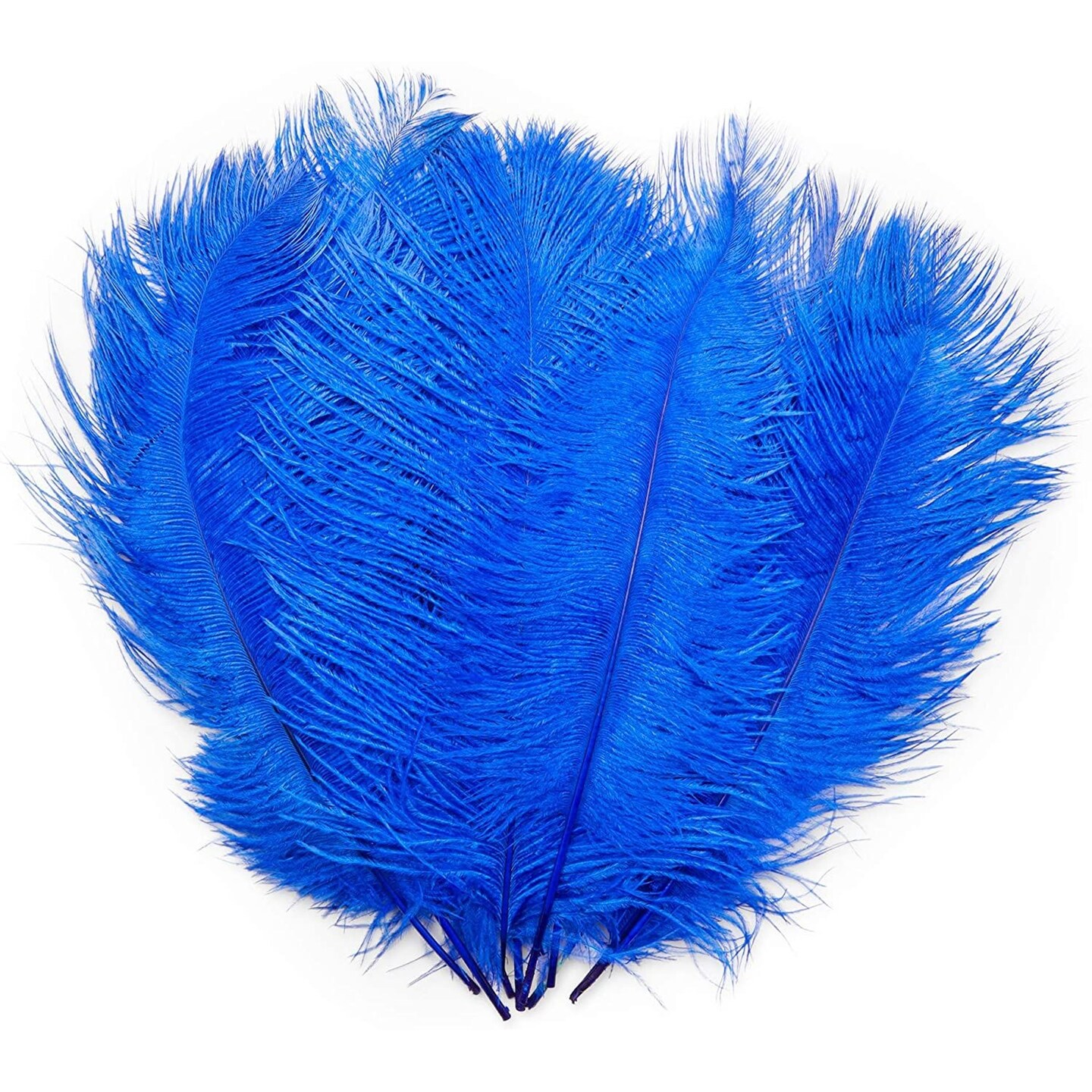 Royal Blue Ostrich Feather Plumes for Crafts, Wedding, Home Decor (12-14 in, 12 Pack)