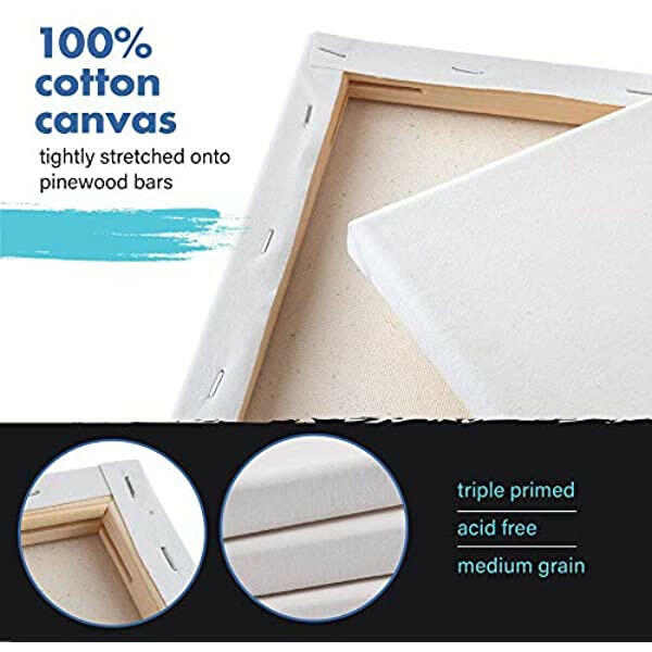 Zingarts Canvases for Painting 8x10Inch 10-Pack,100% Cotton Primed Painting  Canvas Panels, Stretched Canvas Boards is for Professionals,Students 