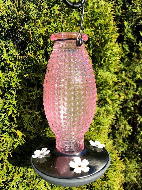 Hummingbird Feeder PINK Hobnail