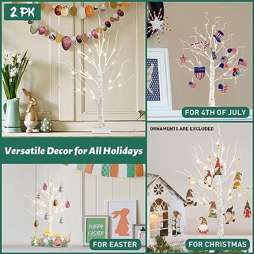 2 FT Birch Tree with LED Lights, Warm White Light up Tree Lamp, Fairy Light Spirit Tree for Xmas Indoor Home Table Fireplace Decor, Battery Powered, 6H/18H Timer (2PK)