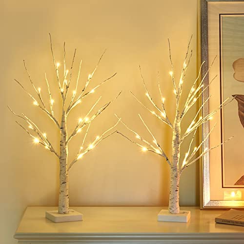 Vanthylit Lighted Tree Christmas Decorations Indoor, White Birch Tree With  LED Lights Battery Powered Timer, Tabletop Tree Winter Decor, Light Up