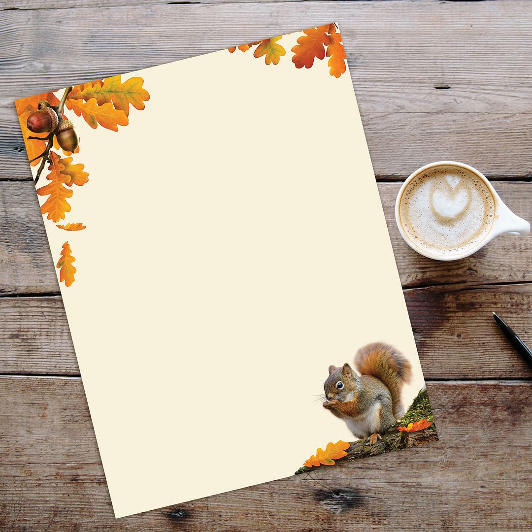 Great Papers! Acorn Fall Letterhead, Invitations, Announcements and Messages, Printer Friendly 8.5" x 11", 80 Pack
