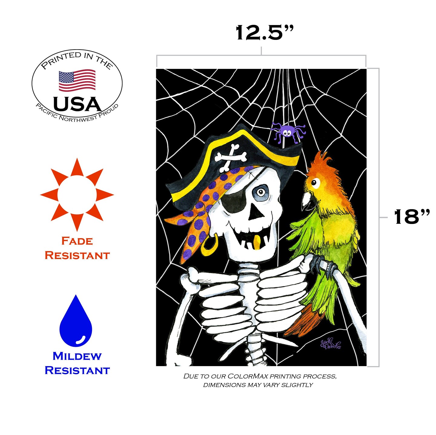 Skeleton Pirate Decorative Pirate Flag