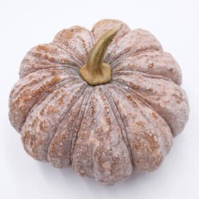 Project Party- Faux Terra Cotta Pumpkin