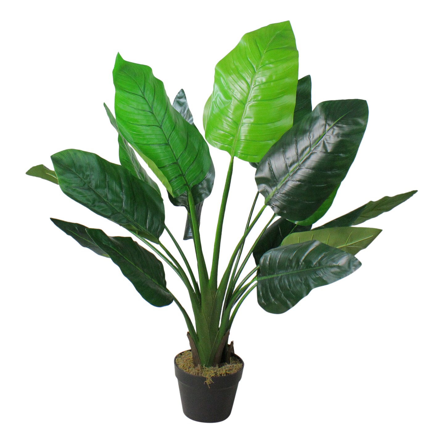 Northlight Potted Artificial Bird of Paradise Plant - 43&#x22;