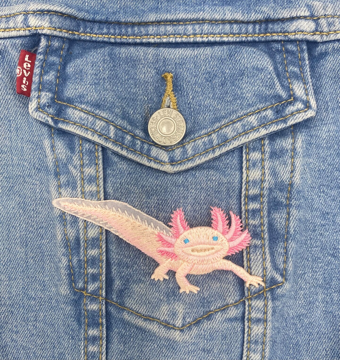 Axolotl Salamander, Realistic Pets, Animals, Embroidered, Iron on Patch