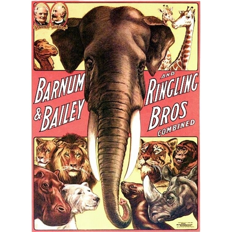 Posterazzi Barnum Bailey Ringling Elephant Animal Circus Poster Print (24 x 36)