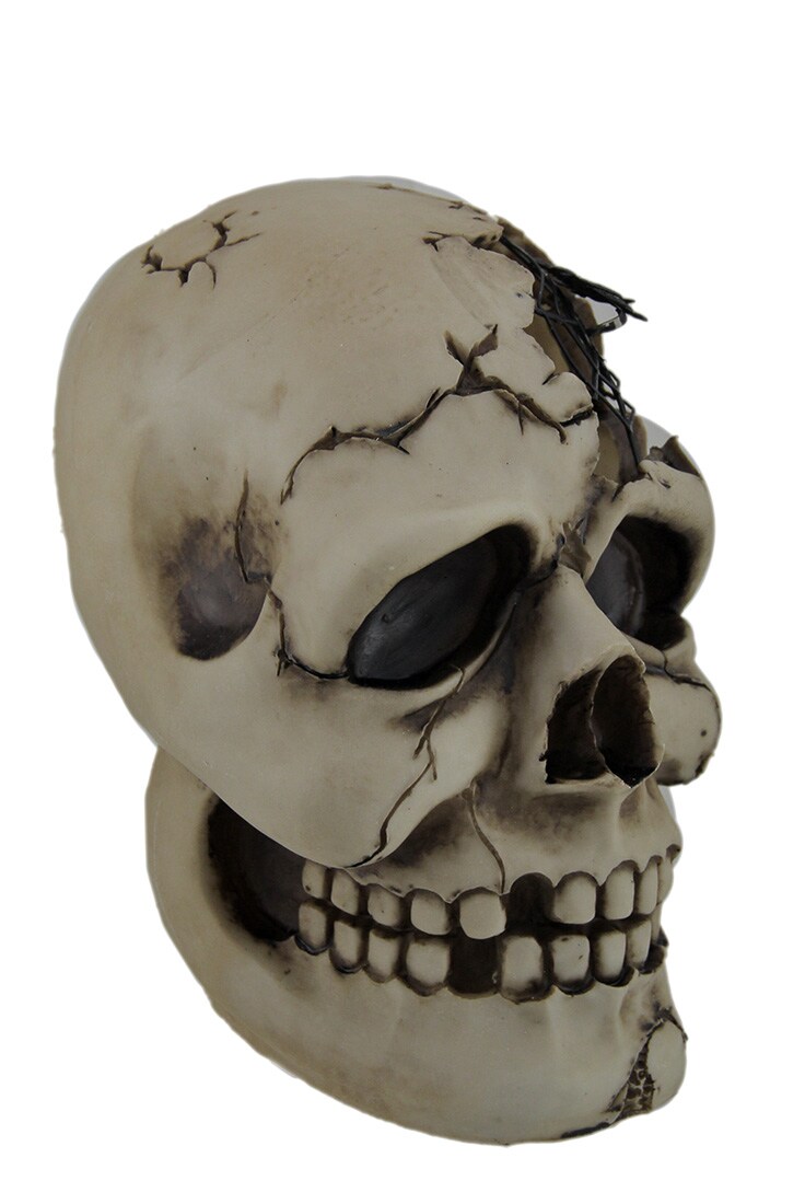 Color Changing LED Lighted Cracked Skull W/Web Statue