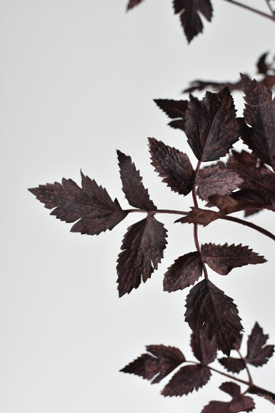 31&#x22; Faux Cimicifunga Ramosa Stem: Plum