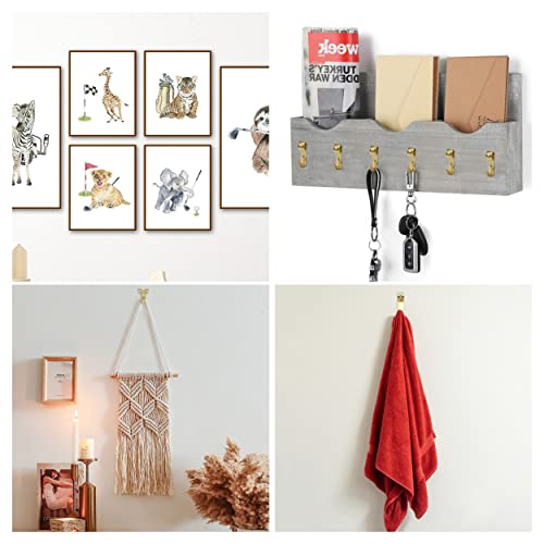Picture Hanging Kit, 220pc, Picture Hangers, Nails for Hanging Pictures, Wall Hangers, Picture Hanging, Picture Hanging Hooks, Frame Hanging Hardware, Picture Hooks, Wall Hanging Kit