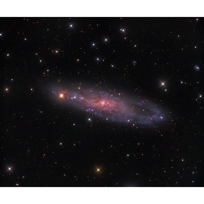 Posterazzi NGC 247 galaxy in the constellation Cetus Poster Print by Michael Miller/Stocktrek Images