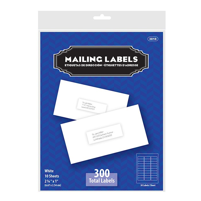 BAZIC White Address Labels 1&#x22; X 2 5/8&#x22; (300/Pack)