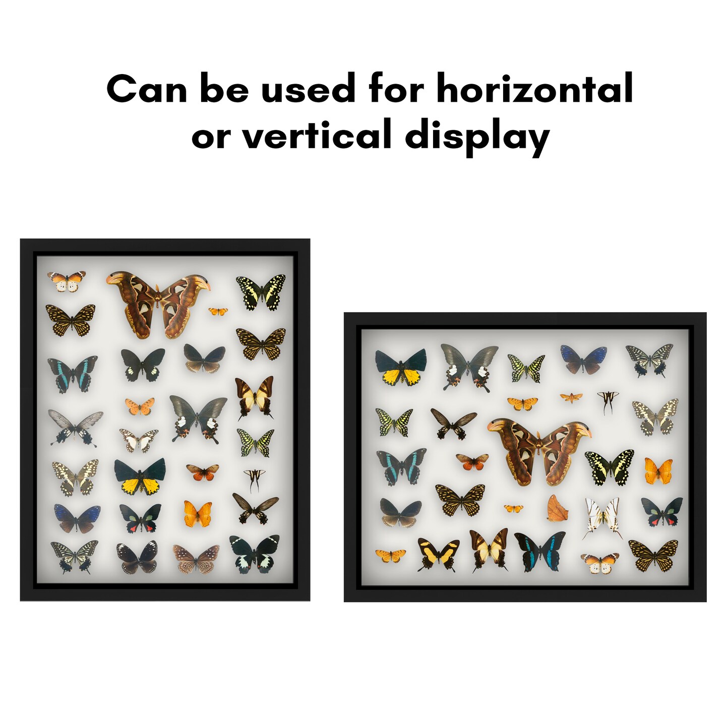 Americanflat Shadow Box Frame - 1.5 Interior Depth for Memorabilia - Display Case for Showcasing Souvenirs, Awards, and Medals - Shatter Resistant Glass - Hanging Hardware