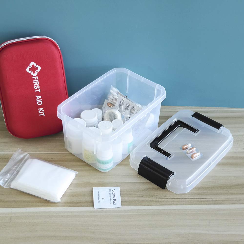 4 Pieces 2 L Clear Mini Plastic Storage Box, Tiny Clear Storage Bin