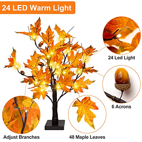 24-inch Fall Lighted Maple Tree with Acorns, 24 LED Lights, Battery Operated Thanksgiving Table Centerpieces Decoration Artificial Tree for Home Desktop Fireplace Autumn Harvest Tabletop Indoor Decor