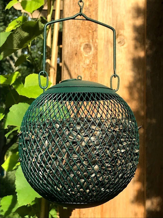 Seed Ball Bird Feeder