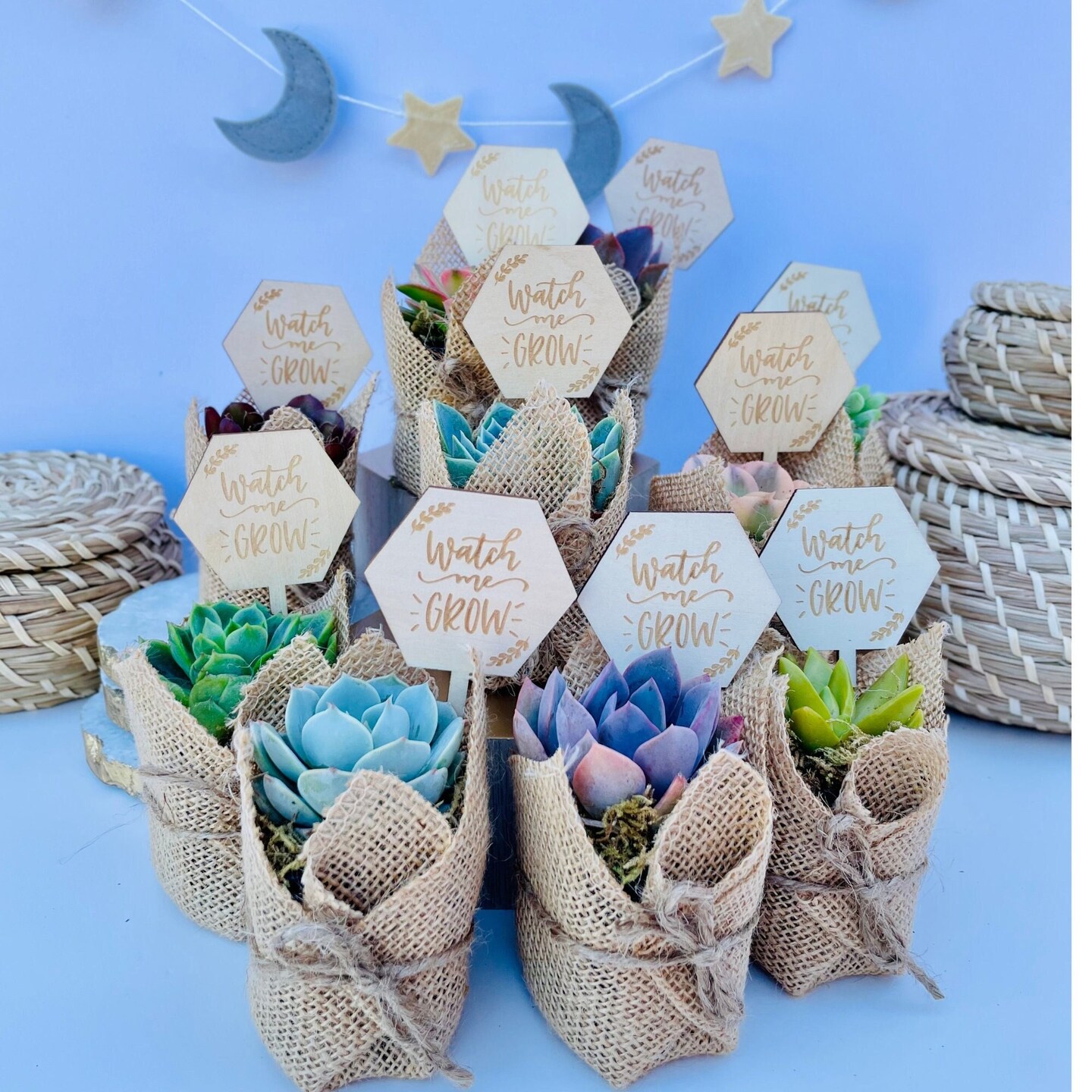 Watch Me Grow Baby Shower Favors Live Succulent Favors for Baby