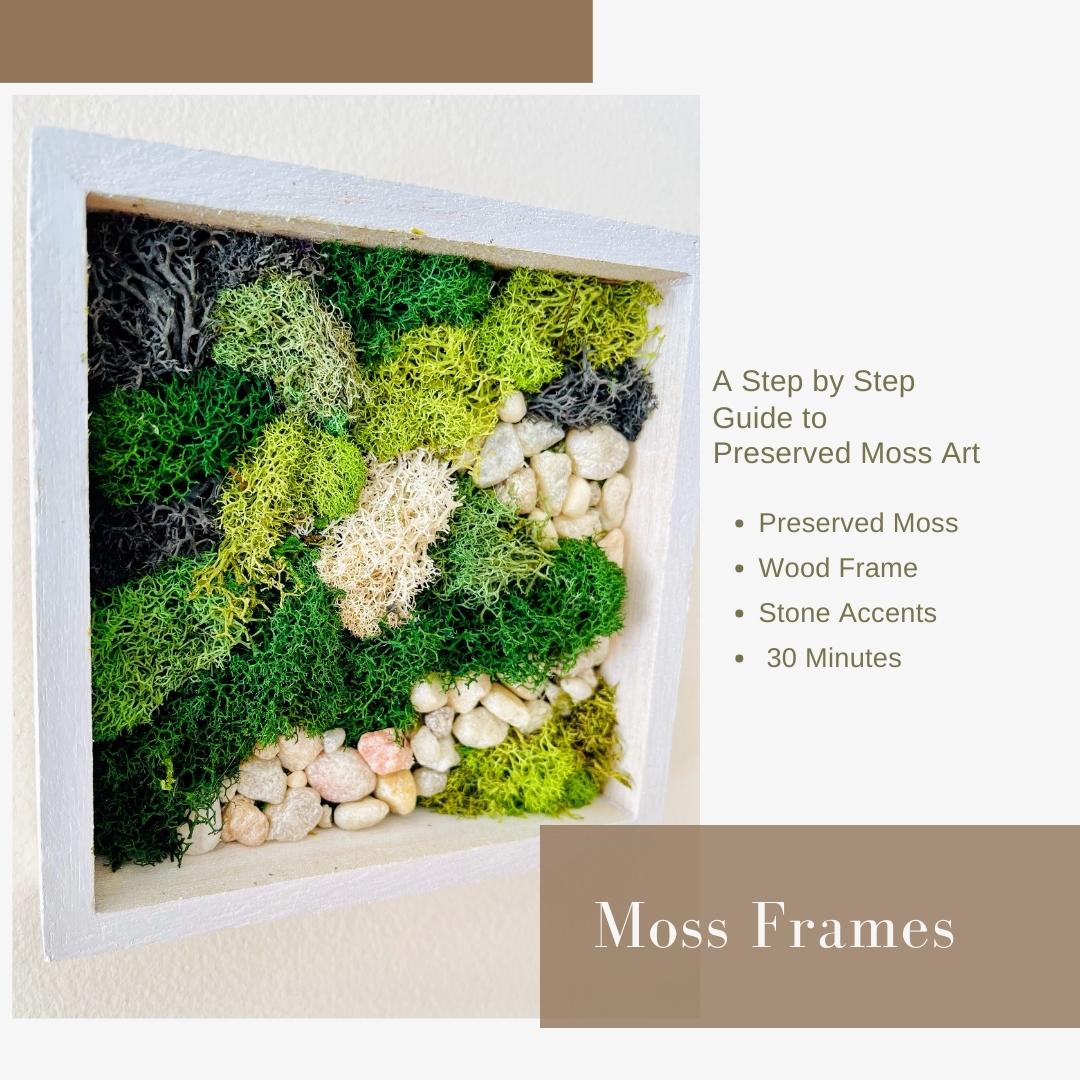 DIY Moss Art Frames - Framed Moss Art How to Guide | home-decor | Michaels