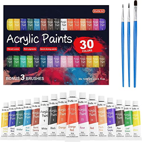 Acrylic Paint Canvas Set, Fabric Paint Acrylic Paints