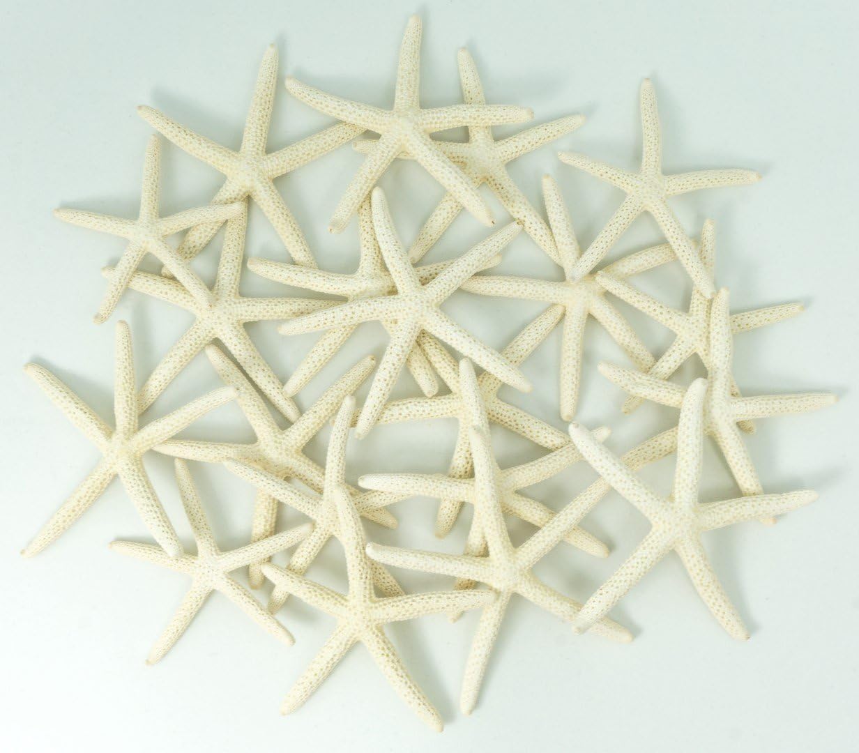 Starfish Decor - 20 Pack White Finger Star Fish 2-3 Inch - Starfish for Crafts - White Starfish Wall D&#xE9;cor - Beach Wedding Starfish - Beach Starfish D&#xE9;cor - Star Fish Decorations