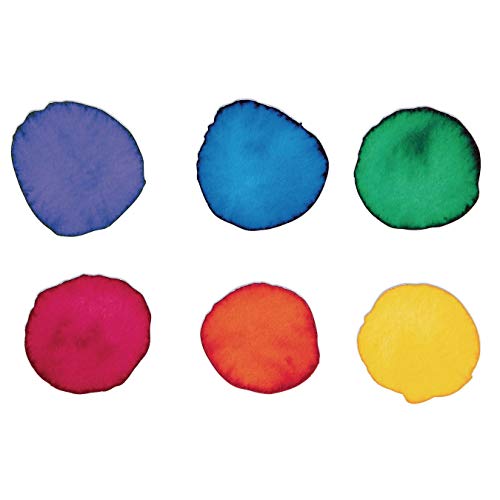  S&S Worldwide Color Splash! Liquid Watercolor Paint, 6 Vivid  Colors, 8-oz Flip-Top Bottles, for All Watercolor Painting, Use to Tint  Slime, Clay, Glue, Shaving Cream, Non-Toxic. Pack of 6. : Arts