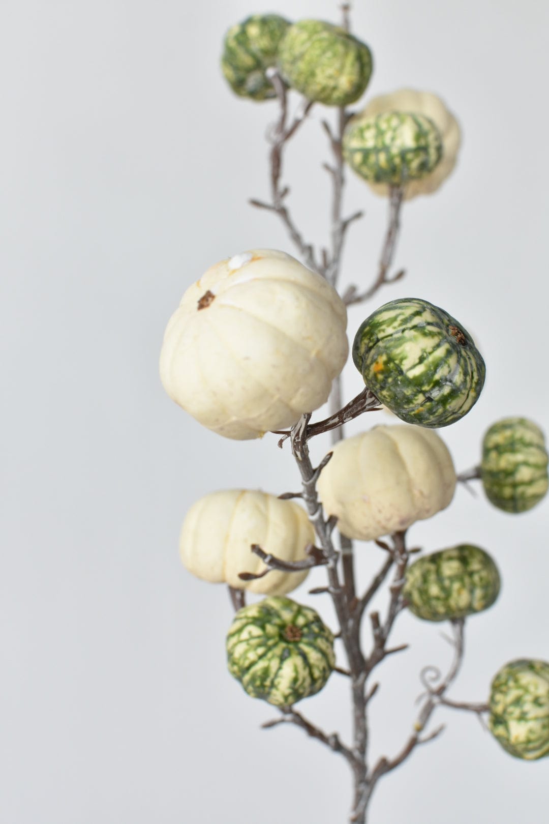 29&#x22; Faux White-Washed Pumpkins On A Branch: Cream + Green