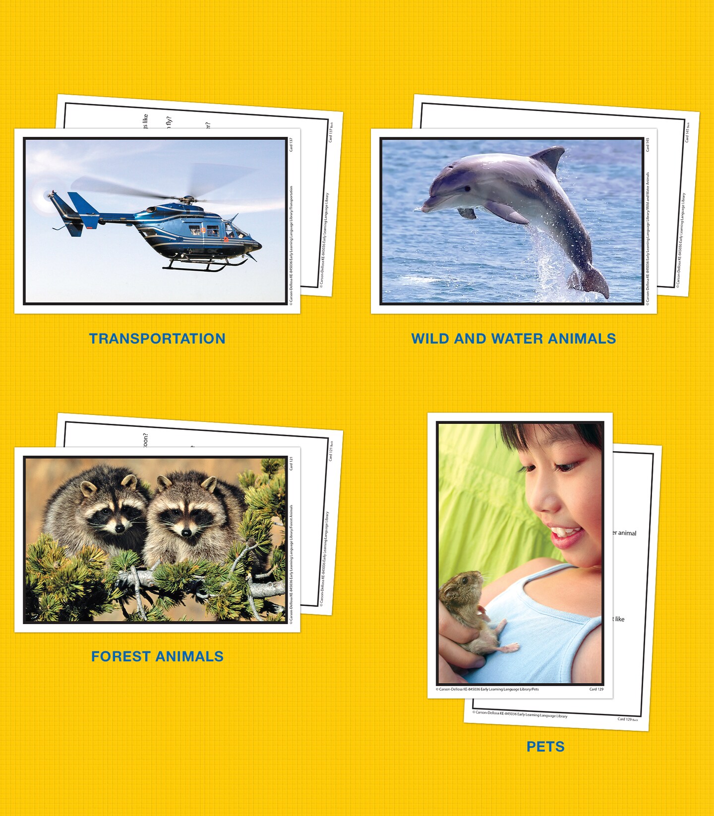Key Education 160 Early Learning Toddler Flash Cards Ages 3+, Photographic Vocabulary Flash Cards for Toddlers, Toddler Speech Therapy Flash Cards for Preschool & Kindergarten Special Learners