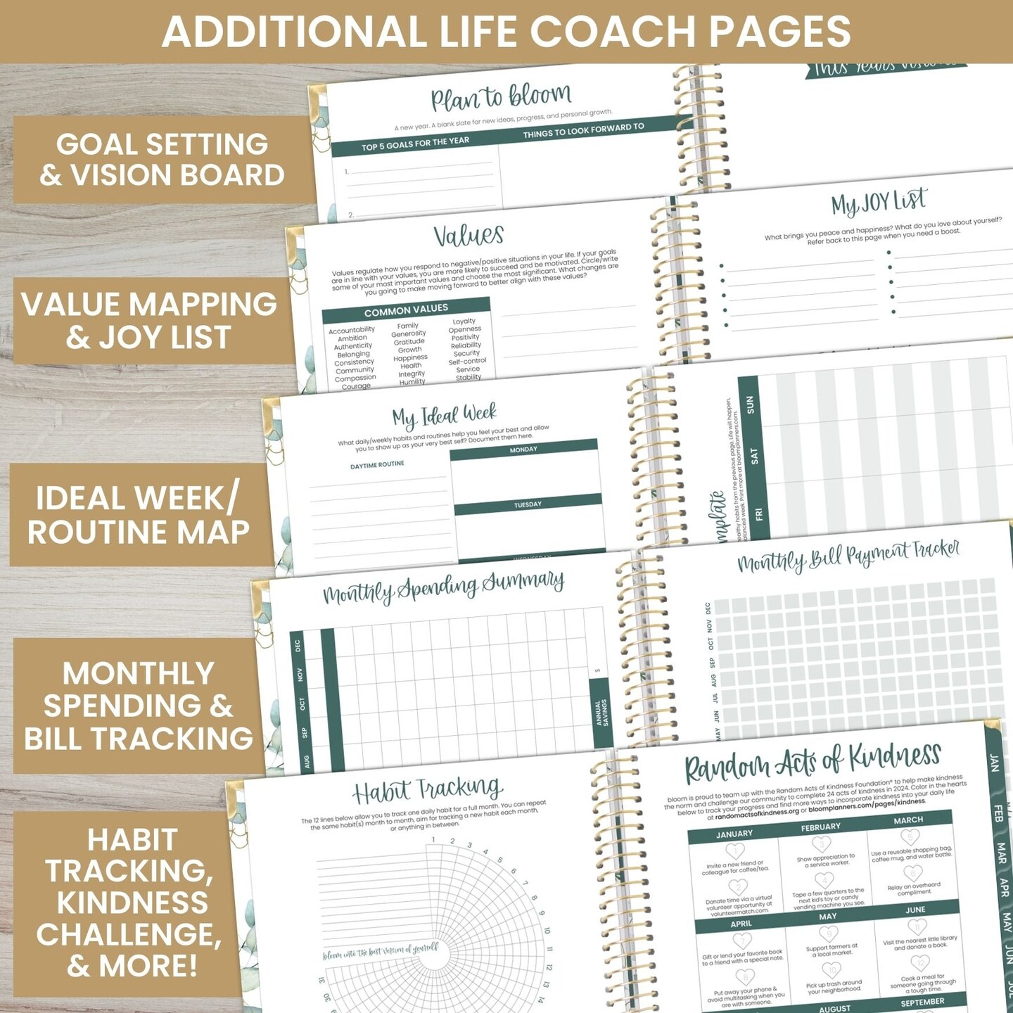 bloom daily planners 2024 Hard Cover Planner, 8.5&#x22; x 11&#x22;, Eucalyptus