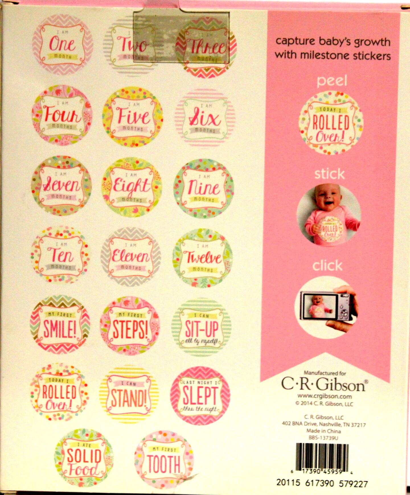 Baby&#x27;s First Year Belly Stickers-Baby Girl