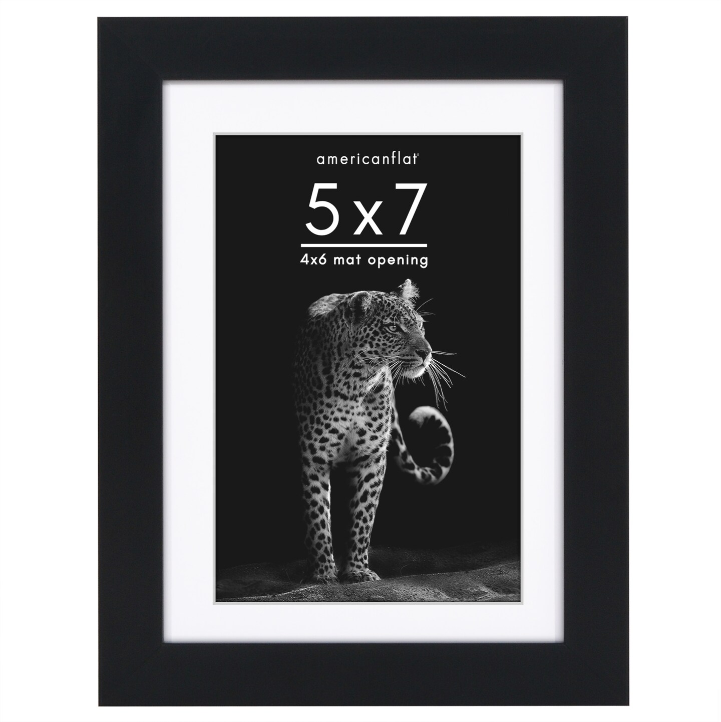 Americanflat Gallery-Style Picture Frame with Mat - Showcase Artwork, Prints, and Photos - Shatter Resistant Glass - Hanging Hardware with Drywall Anchor