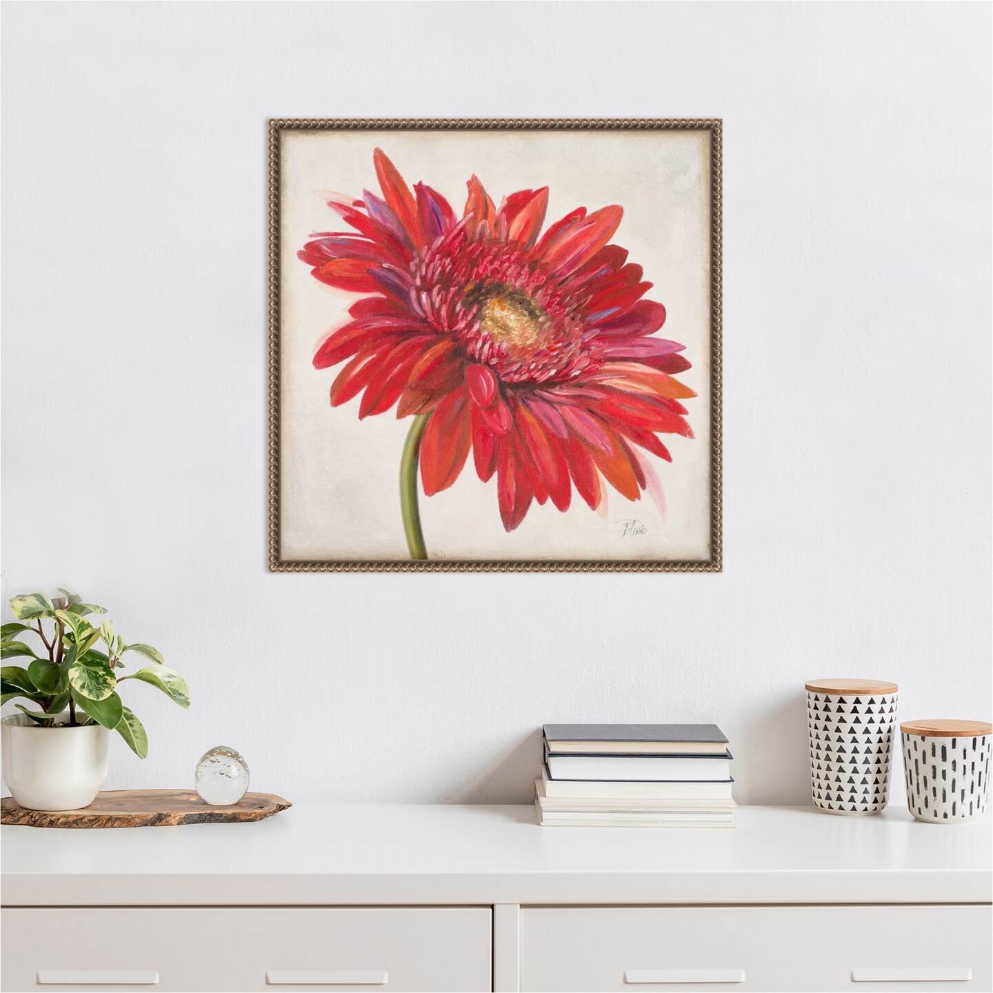 Red Gerber Daisy by Patricia Pinto Framed Canvas Wall Art
